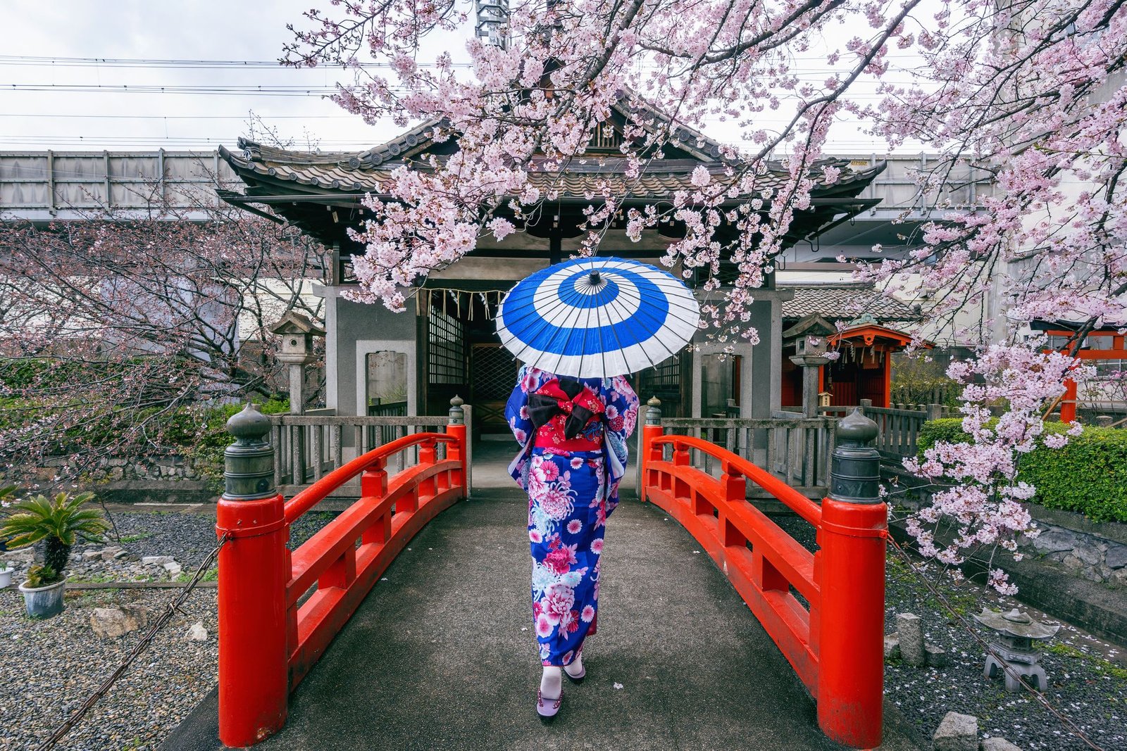 Temple japonais au printemps
